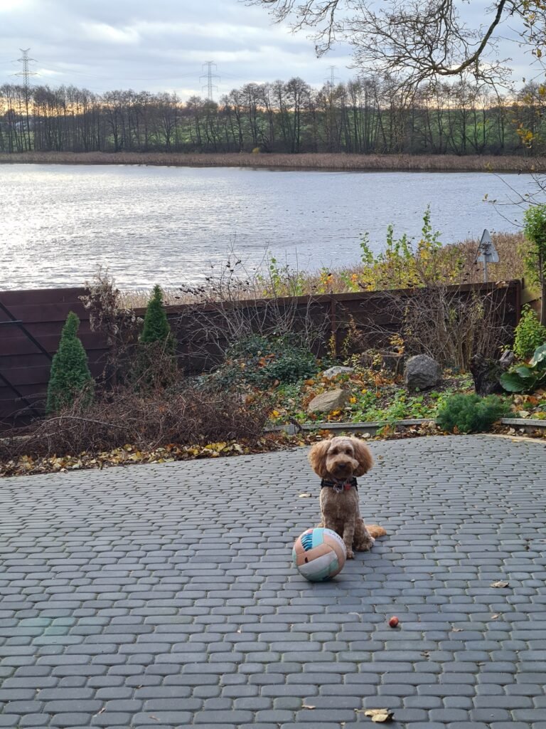 Pokój pod jabłonią